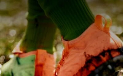 HEADING IN TRAINING FA GUIDANCE