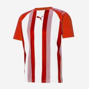 Puma Team LIGA Striped Jersey