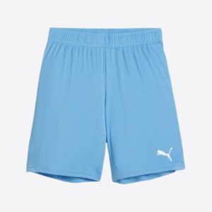 Puma Team Goal Shorts
