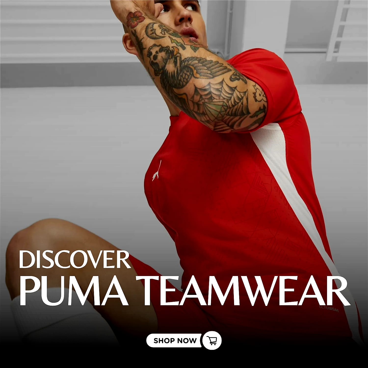 WhatsApp Image 2026-01-24 at 11.08.19