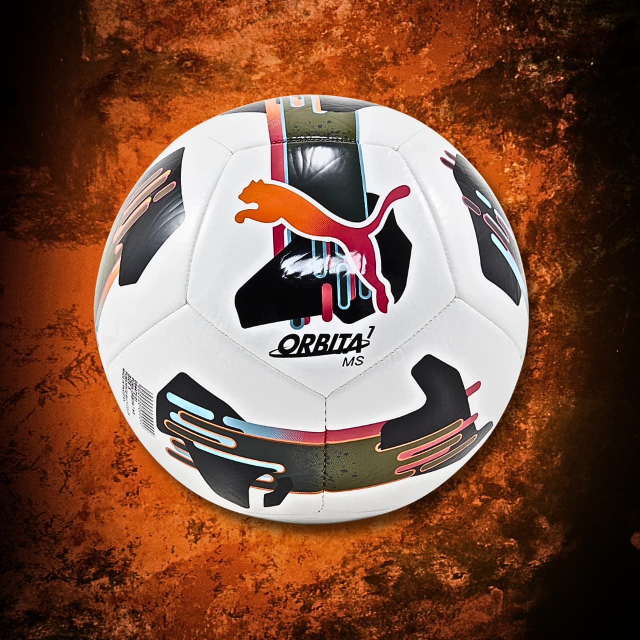 WhatsApp Image 2026-02-11 at 17.15.09