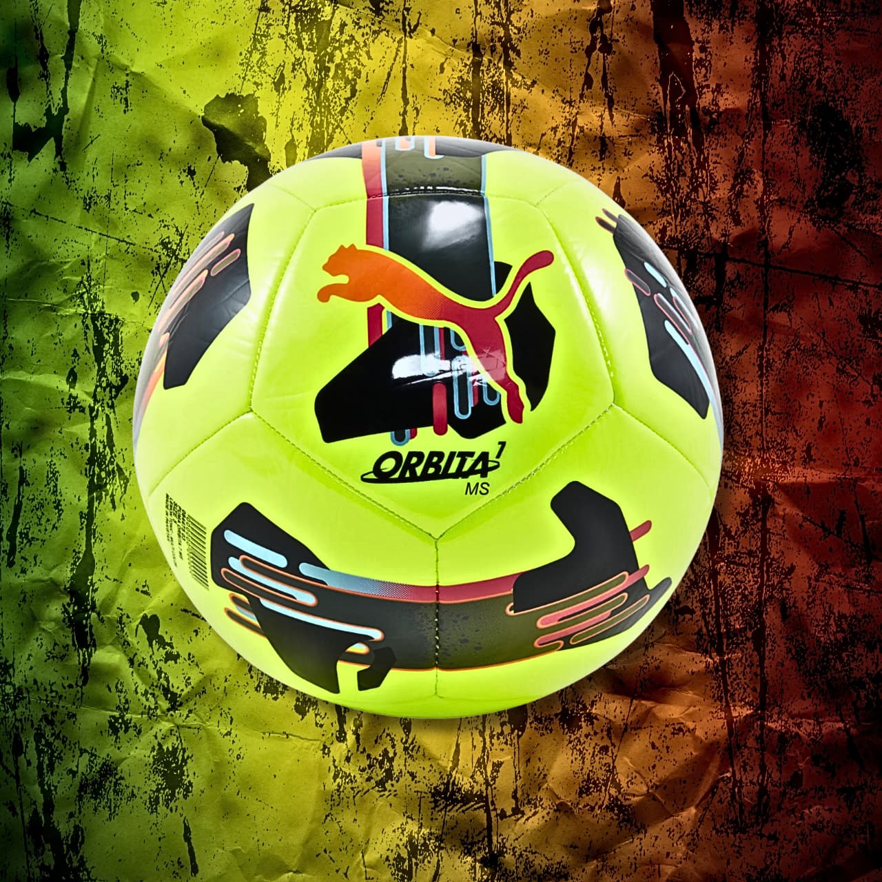 WhatsApp Image 2026-02-11 at 17.15.10