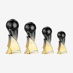 The Firestorm Football Heavyweight