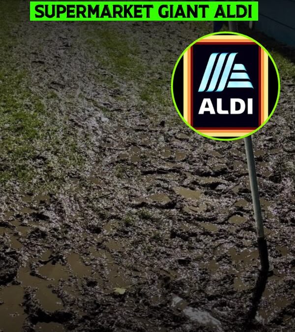 ALDI SPORTS FUND